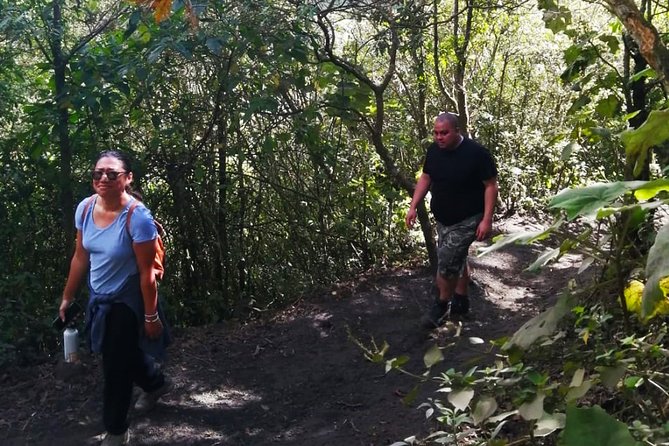 Pacaya Volcano Tour and Hot Springs from Guatemala City - The Pacaya climb: views, heat, and loose volcanic rock