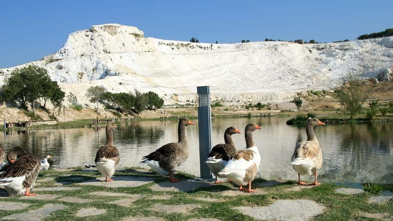 Pamukkale and Hierapolis: Full-Day Private or Group Tour - Walking the travertine terraces