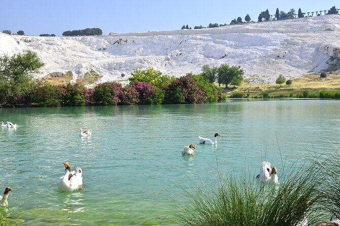 Pamukkale and Hierapolis Small Group Tour - Transport, group size, and timing