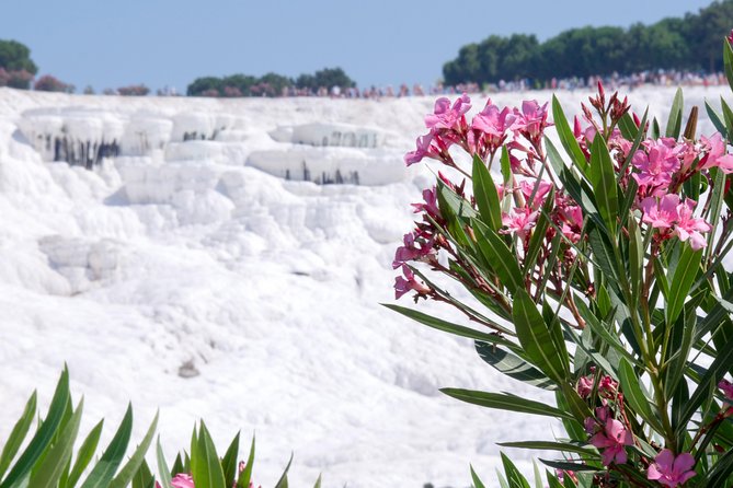 Pamukkale Day Tour from Selcuk - The ride from Selcuk and the early start