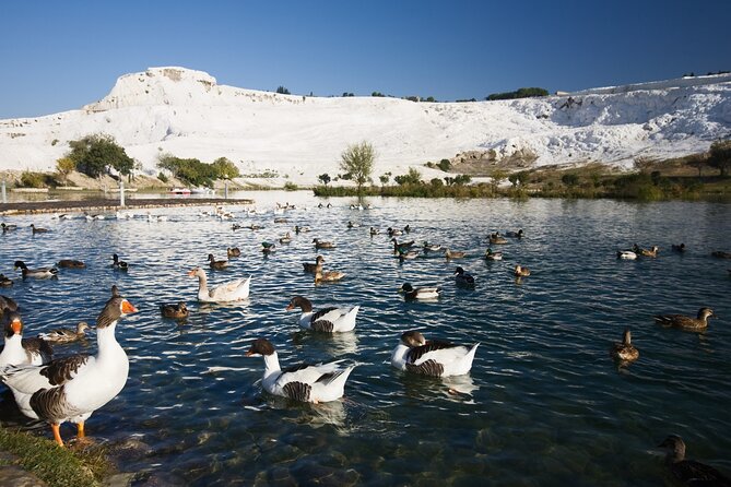 Pamukkale&Hierapolis Tour With Lunch From Antalya - The White Travertines and Thermal Water