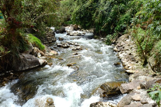 Papallacta Hot Springs & Guango Birding Reserve Private Tour - Guango Lodge and the Papallacta River walk