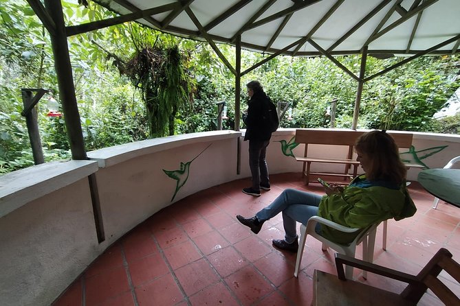 Papallacta Hot Springs & Guango Birding Reserve Private Tour - Papallacta Lake and Antisana’s high country
