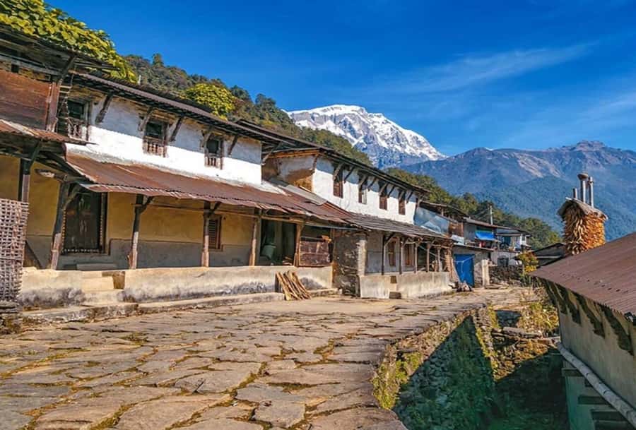 Pokhara: 5 Day Annapurna Base Camp Trek & Natural Hot Spring - Day 3: Deurali to Annapurna Base Camp