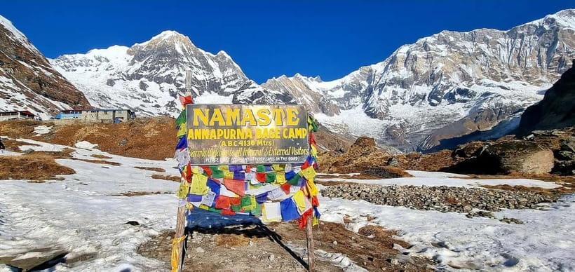 Pokhara: 5-Day Annapurna Base Camp Trek with Hot Spring - Sinuwa to Deurali through forest and rhododendron