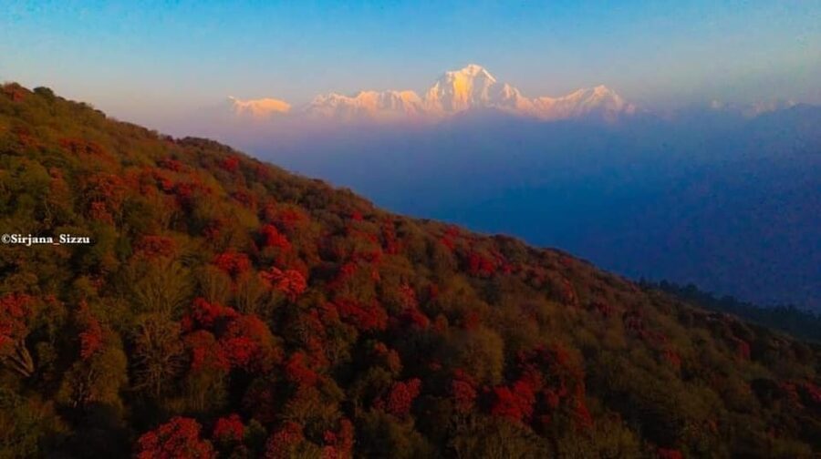 Pokhara: 7-Day Annapurna Base Camp Via PoonHill & Hot Spring - Day Seven: Jhinu Dada Hot Spring And The Ride Back