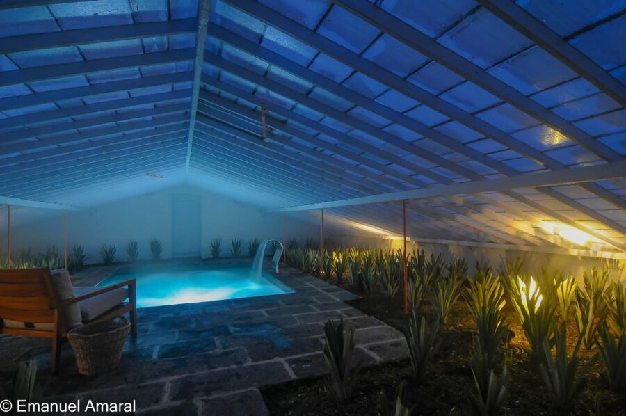 Ponta Delgada: Greenhouse Hot Tube with Pineapple Tour - A pineapple greenhouse with a hot pool at its center