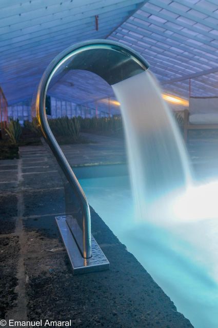 Ponta Delgada: Greenhouse Hot Tube with Pineapple Tour - Who will enjoy this most?