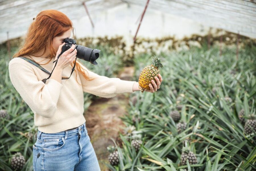 Ponta Delgada: Greenhouse Hot Tube with Pineapple Tour - Food, drinks, and staying for dinner