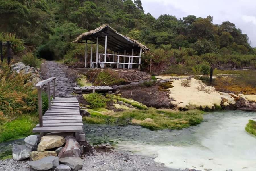 Popayan: Condor Watching in Purace + San Juan Hot Springs - Why the condor stop is the heart of the day