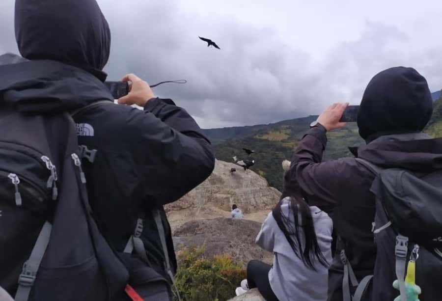 Popayan: Condor Watching in Purace + San Juan Hot Springs - The early road from Popayán to Puracé