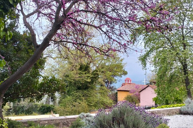 Pozar Thermal Baths and Edessa Waterfalls Private Tour - Timing, pickup, and comfort