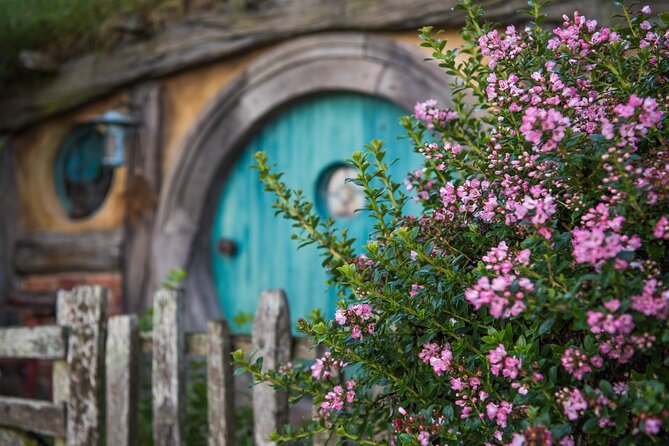 Private 2 Day Tour: Hobbiton, Waitomo, Rotorua Geothermal & Hamilton Gardens - Day one: Waitomo’s silent glowworm boat ride