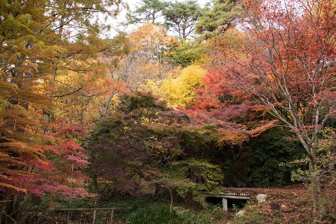 Private Car Day Trip to the Kobe Mountains, Gardens and Hot Springs from Osaka - Two Hours at Arima Onsen