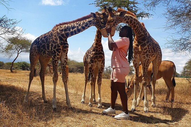 Private Day Tour in Serval Wildlife and Kikuletwa Hot Spring - Serval Wildlife brings the day’s biggest surprise