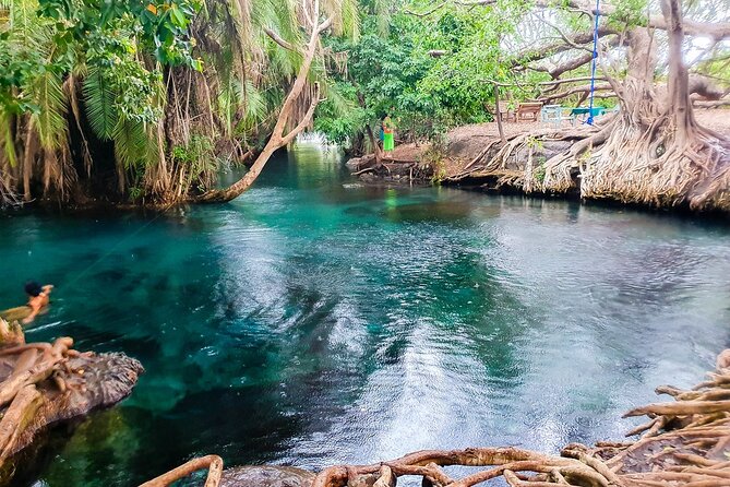 Private Day Tour in Serval Wildlife and Kikuletwa Hot Spring - Timing, pickup, and what to pack