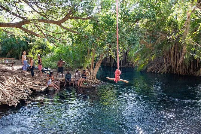 Private Day Tour in Serval Wildlife and Kikuletwa Hot Spring - How the animal rules shape your visit