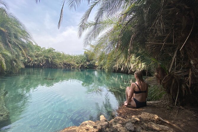 Private Day Trip to Kikuletwa Hot Springs in Kilimanjaro - What the private format changes