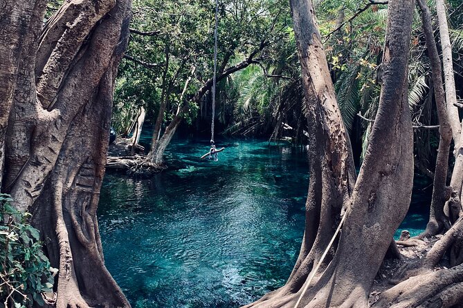 Private Day Trip to Kikuletwa Hot Springs in Kilimanjaro - Is $150 per person good value?