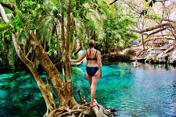 Private Day Trip to Kikuletwa Hot Springs in Kilimanjaro - Three hours beside the blue water