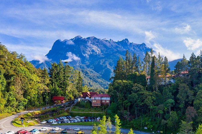 Private Desa Dairy Farm, Kinabalu National Park, Hot Spring & Canopy Walk Tour - Poring Hot Springs: pools, plants, and a canopy walk