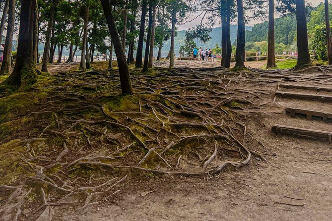 Private Full Day Tour Furnas – Thermal Pools & Botanical Garden - Furnas town turns volcanic heat into lunch