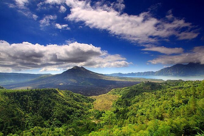 Private full-day tour with hot spring - Who should book this Bali tour