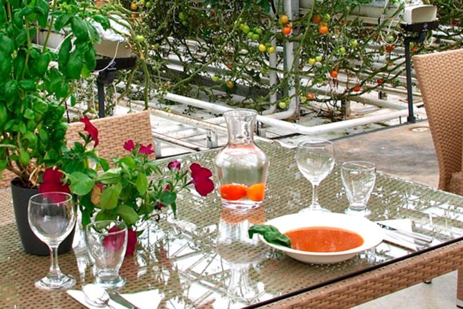 Private Golden Circle, Sky Lagoon and Friðheimar Greenhouse Lunch - Gullfoss brings the drama