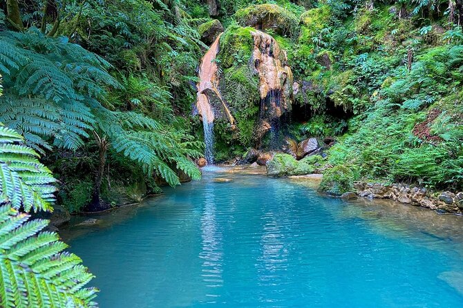 Private Guided Tour to Furnas and thermal baths. - Key points to know before booking