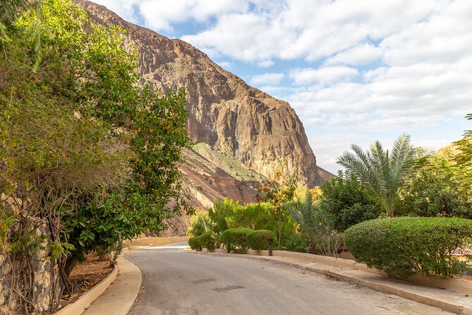 Private Half-Day Ma'in Waterfalls and Hot Springs Tour from Amman - Leaving Amman in a private car