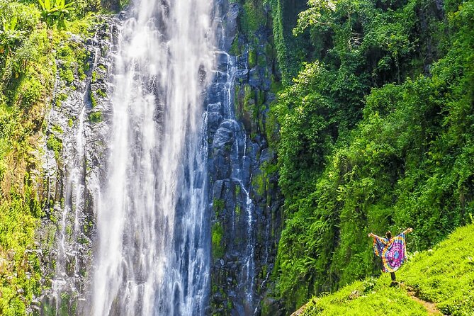 Private Materuni Waterfalls, Coffee Tour and Kikuletwa Hot Spring - Why this day works so well from Arusha