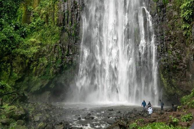 Private Materuni Waterfalls, Coffee Tour and Kikuletwa Hot Spring - Lunch before the hot spring