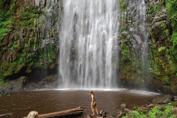 Private Materuni Waterfalls, Coffee Tour and Kikuletwa Hot Spring - What the $128.58 price really covers
