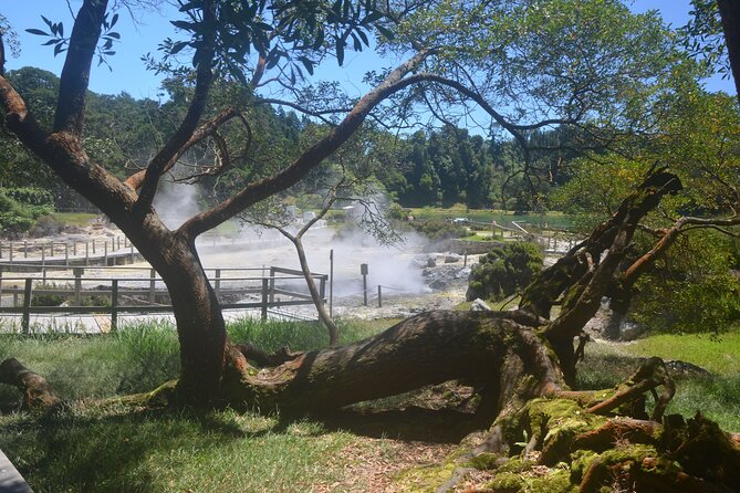 Private Tour Full-Day Furnas: Lake, Fumaroles and Thermal Pools - What the private vehicle changes