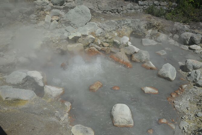 Private Tour Full-Day Furnas: Lake, Fumaroles and Thermal Pools - The guides and the pace of the day