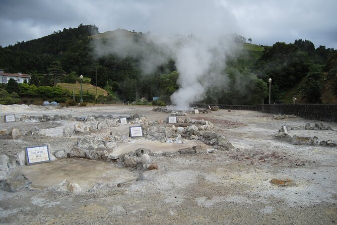Private Tour Furnas Lake & Hot Springs - Tea at Plantations de Chá Gorreana