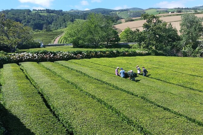 Private Tour Furnas Lake & Hot Springs - Terra Nostra Garden and the geothermal pool