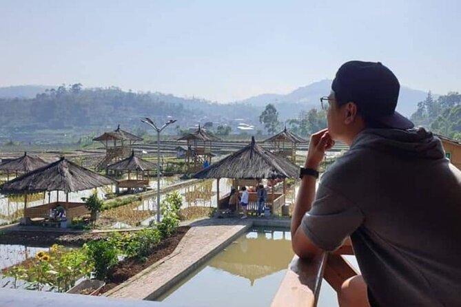 Private Tour to Bandung Volcano Hot Springs and Mud bathing - Who should book this experience