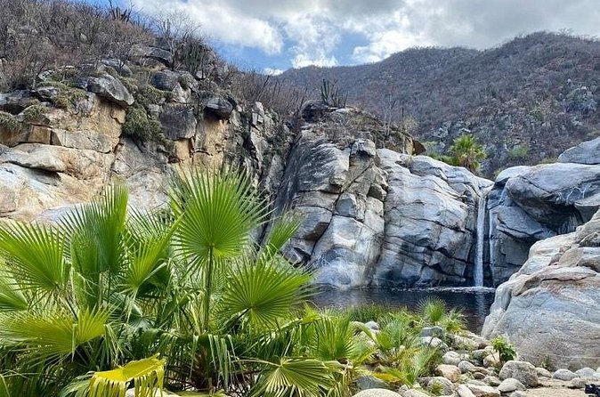 Private Tour to Hot Springs and Waterfall in Santiago - Mexican food, honey, and homemade ice cream