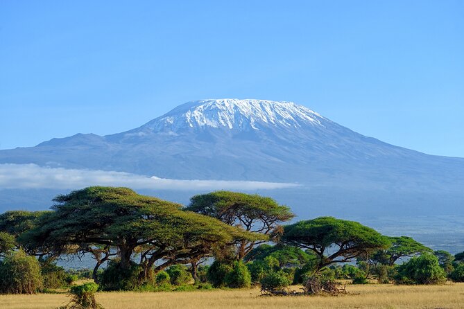 Private Tour to Marangu Waterfalls, Chagga Caves, Coffee tour & Hot Springs - Key points at a glance