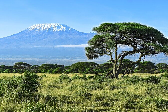Private Tour to Marangu Waterfalls, Chagga Caves, Coffee tour & Hot Springs - A full day north of Arusha