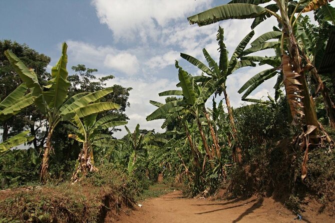 Private Tour to Marangu Waterfalls, Chagga Caves, Coffee tour & Hot Springs - Kikuletwa Hot Springs and the rope swing