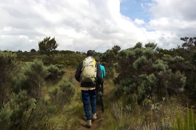 Private Tour to Marangu Waterfalls, Chagga Caves, Coffee tour & Hot Springs - Timing, comfort, and what to pack