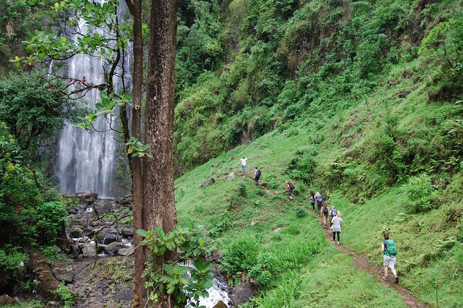 Private Tour to Materuni Waterfalls, coffee tour, Kikuletwa Hot Springs & Maasai - A Full Day From Moshi to Materuni and Kikuletwa