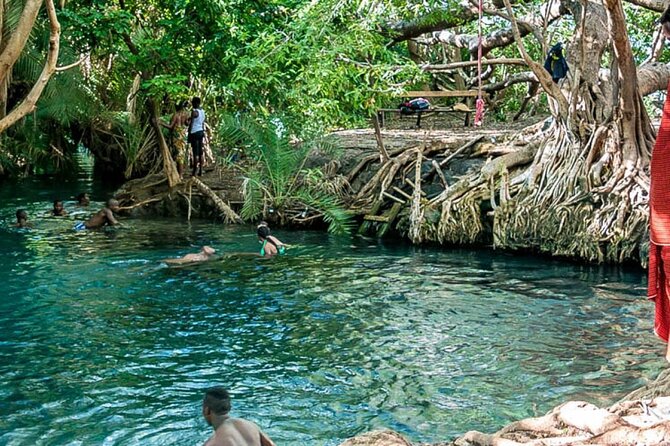 Private Tour to Materuni Waterfalls, coffee tour, Kikuletwa Hot Springs & Maasai - Meeting Maasai Families at a Boma