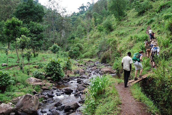 Private Tour to Materuni Waterfalls, coffee tour, Kikuletwa Hot Springs & Maasai - Who Will Get the Most From This Tour