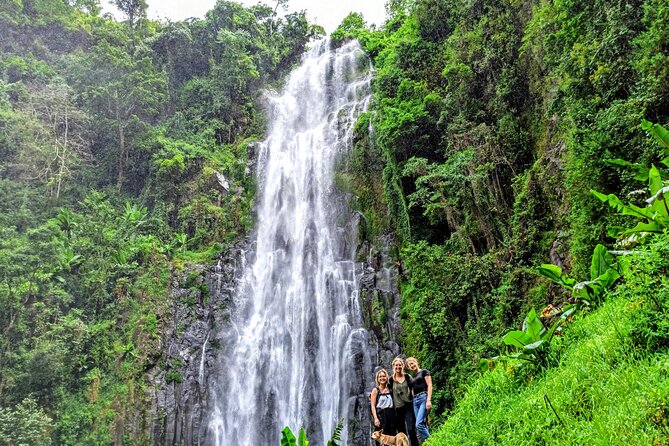 Private Tour to Materuni Waterfalls, coffee tour, Kikuletwa Hot Springs & Maasai - Should You Book the Materuni and Kikuletwa Tour?