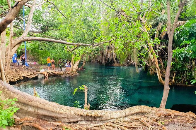 Private Tour to Materuni Waterfalls, coffee tour, Kikuletwa Hot Springs & Maasai - Kikuletwa’s Clear Water and Rope Swing