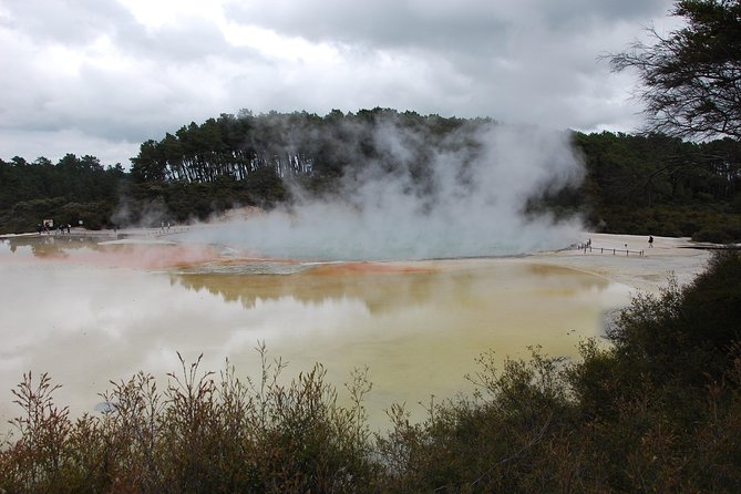 Private Tour Waiotapu Geothermal Shore Excursion up to 8 passengers - A quiet twenty minutes in the Redwoods Forest