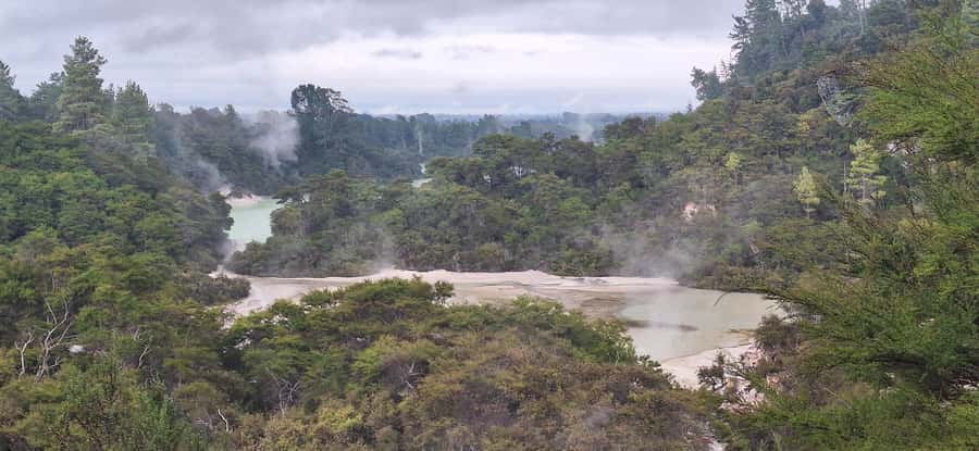 Private VIP Luxury Auckland - Rotorua Geothermal Wonderlands - An early start beneath Auckland’s Sky Tower